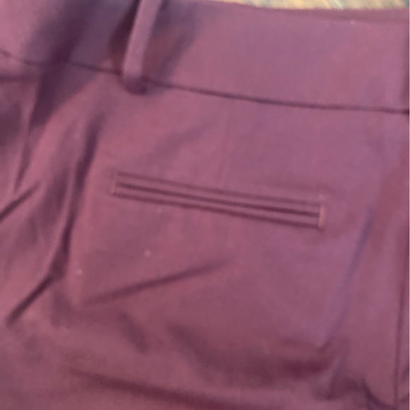 Ann Taylor Factory Ankle Pants - Picture 4 of 5